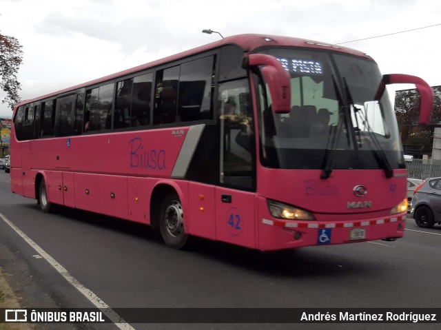 BIUSA 42 na cidade de San José, San José, Costa Rica, por Andrés Martínez Rodríguez. Número da foto: #7729947.