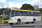 Viação Pioneira 227188 na cidade de Brasília, Distrito Federal, Brasil, por Eduardo Ribeiro. Número da foto: #7729565.