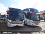 Paraibuna Transportes 22014 na cidade de Divinópolis, Minas Gerais, Brasil, por Marcus Vinicius Lara Silva. Número da foto: #7731238.