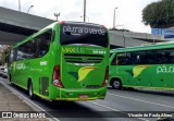 Pássaro Verde 19161 na cidade de Belo Horizonte, Minas Gerais, Brasil, por Vicente de Paulo Alves. Número da foto: #7730948.