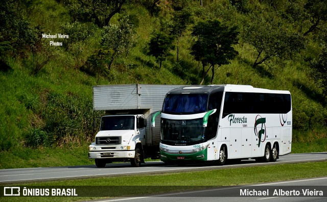 Floresta Turismo 1030 na cidade de Santana de Parnaíba, São Paulo, Brasil, por Michael  Alberto Vieira. ID da foto: 7735023.