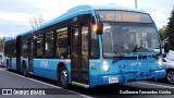 Tok Transit 1381 na cidade de Ontario, Canadá, por Guilherme Fernandes Grinko. Número da foto: #7733271.
