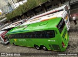 Pássaro Verde 11102 na cidade de Belo Horizonte, Minas Gerais, Brasil, por Vicente de Paulo Alves. Número da foto: #7734621.