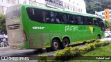 Pássaro Verde 19147 na cidade de Viçosa, Minas Gerais, Brasil, por Gabriel Leal. Número da foto: #:id.