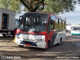 ATL - Associação dos Transportadores de Passageiros por Lotação 784 na cidade de Porto Alegre, Rio Grande do Sul, Brasil, por Mauricio Peres Rodrigues. Número da foto: #:id.