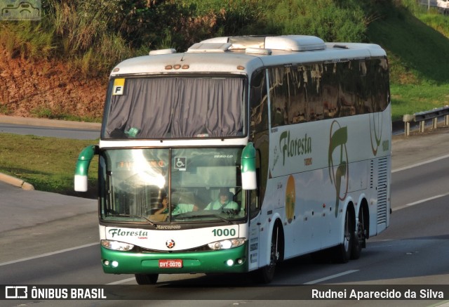 Floresta Turismo 1000 na cidade de Mairinque, São Paulo, Brasil, por Rudnei Aparecido da Silva. Número da foto: #7735088.