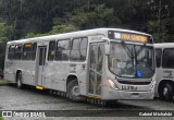 Araucária Transportes Coletivos LL318 na cidade de Curitiba, Paraná, Brasil, por Gabriel Michalski. Número da foto: #7736765.