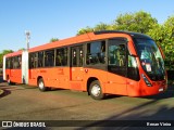 Transporte Coletivo Glória BE724 na cidade de Curitiba, Paraná, Brasil, por Renan Vieira. Número da foto: #7737305.