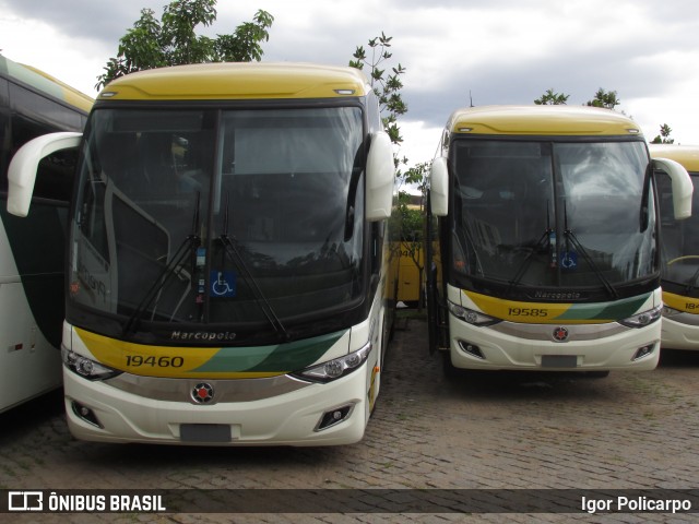 Empresa Gontijo de Transportes 19460 na cidade de Belo Horizonte, Minas Gerais, Brasil, por Igor Policarpo. Número da foto: #7748637.