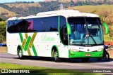 Bruno Turismo 15 na cidade de Roseira, São Paulo, Brasil, por Adriano Duarte. Número da foto: #7748941.