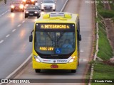 Viação Pioneira 229202 na cidade de Santa Maria, Distrito Federal, Brasil, por Ricardo Vieira. Número da foto: #7748278.