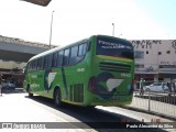 Pássaro Verde 1042 na cidade de Belo Horizonte, Minas Gerais, Brasil, por Paulo Alexandre da Silva. Número da foto: #:id.