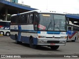 Citral Transporte e Turismo 1701 na cidade de Porto Alegre, Rio Grande do Sul, Brasil, por Rodrigo  Ribeiro. Número da foto: #:id.
