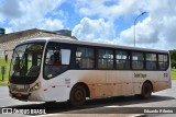Coutinho Transporte NG 02 0246 na cidade de Brasília, Distrito Federal, Brasil, por Eduardo Ribeiro. Número da foto: #7676367.