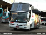 Eucatur - Empresa União Cascavel de Transportes e Turismo 4431 na cidade de Porto Alegre, Rio Grande do Sul, Brasil, por Rodrigo  Ribeiro. Número da foto: #:id.