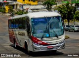 Rouxinol 1800 na cidade de Belo Horizonte, Minas Gerais, Brasil, por Ithalo Santos. ID da foto: :id.