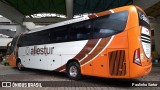 Allestur 400 na cidade de Joinville, Santa Catarina, Brasil, por Paulinho Sartor. Número da foto: #7752364.