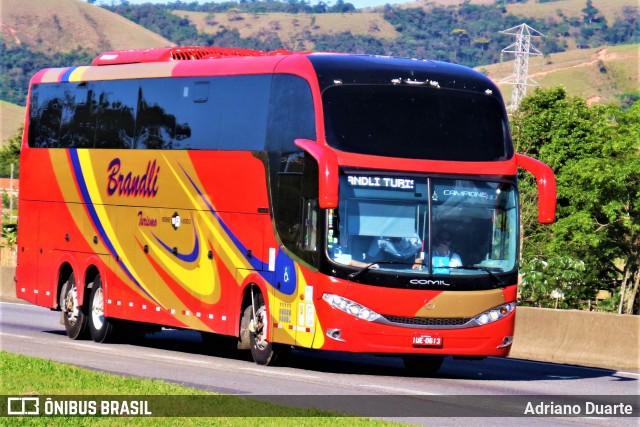 Brandli Turismo 2013 na cidade de Roseira, São Paulo, Brasil, por Adriano Duarte. Número da foto: #7755407.