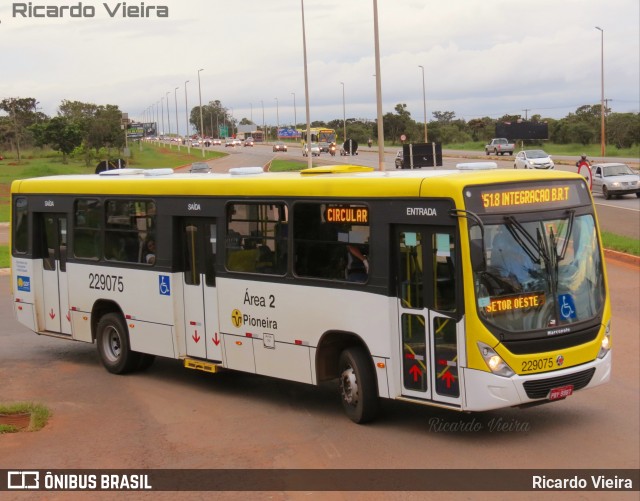 Viação Pioneira 229075 na cidade de Santa Maria, Distrito Federal, Brasil, por Ricardo Vieira. Número da foto: #7753687.