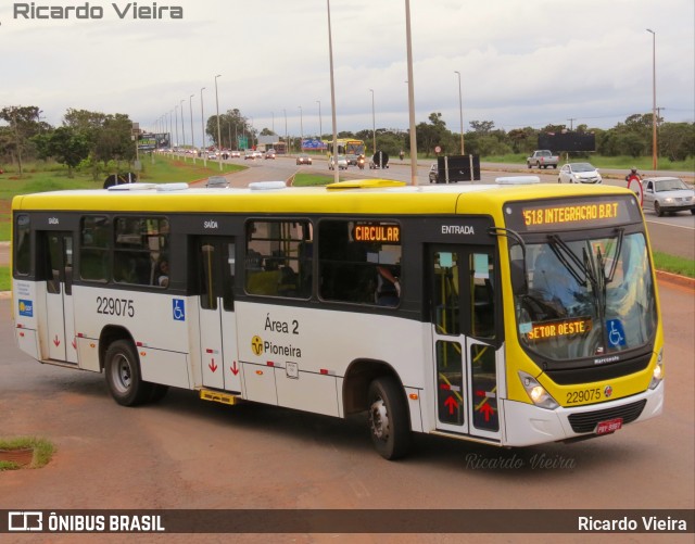 Viação Pioneira 229075 na cidade de Santa Maria, Distrito Federal, Brasil, por Ricardo Vieira. ID da foto: 7753687.