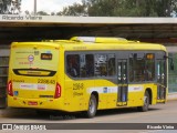 Viação Pioneira 228648 na cidade de Santa Maria, Distrito Federal, Brasil, por Ricardo Vieira. Número da foto: #7753679.