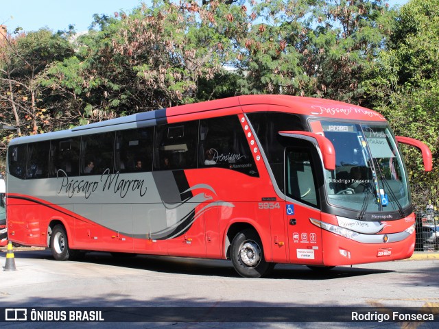 Empresa de Ônibus Pássaro Marron 5954 na cidade de São Paulo, São Paulo, Brasil, por Rodrigo Fonseca. Número da foto: #7758195.