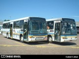 Trevo Transportes Coletivos 1153 na cidade de Porto Alegre, Rio Grande do Sul, Brasil, por Gabriel Cafruni. Número da foto: #:id.