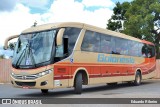Auto Viação Goianésia 176003-2 na cidade de Brasília, Distrito Federal, Brasil, por Eduardo Ribeiro. Número da foto: #7759986.