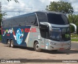 Real Sul Turismo 2019151 na cidade de Teresina, Piauí, Brasil, por Glauber Medeiros. ID da foto: :id.