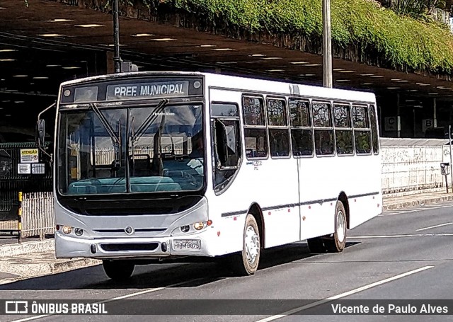 Escolares 8875 na cidade de Belo Horizonte, Minas Gerais, Brasil, por Vicente de Paulo Alves. Número da foto: #7767656.