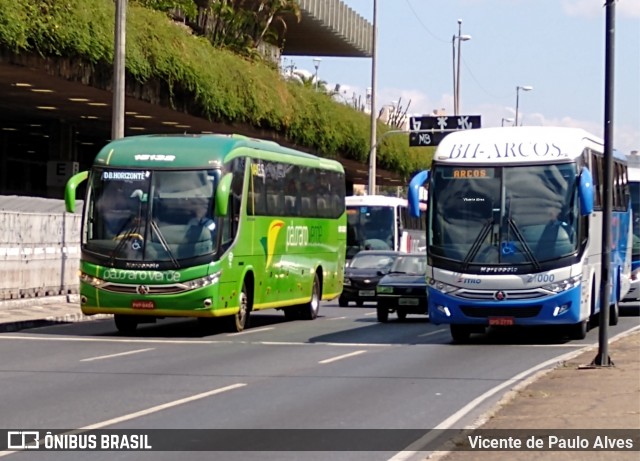 Pássaro Verde 15132 na cidade de Belo Horizonte, Minas Gerais, Brasil, por Vicente de Paulo Alves. ID da foto: 7767801.