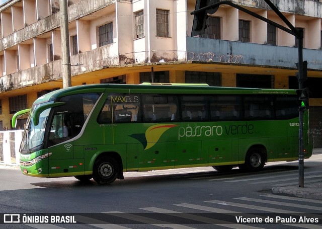Pássaro Verde 15132 na cidade de Belo Horizonte, Minas Gerais, Brasil, por Vicente de Paulo Alves. Número da foto: #7767588.