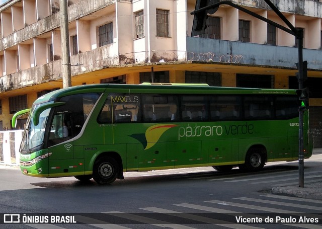 Pássaro Verde 15132 na cidade de Belo Horizonte, Minas Gerais, Brasil, por Vicente de Paulo Alves. ID da foto: 7767588.