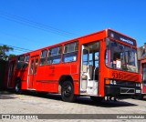 Sangue Bom Transportes 6306 na cidade de Curitiba, Paraná, Brasil, por Gabriel Michalski. Número da foto: #7768395.