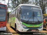 Pássaro Verde 1035 na cidade de Ouro Preto, Minas Gerais, Brasil, por Tarcisio Rodrigues da Silva. Número da foto: #7765635.