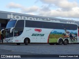 Eucatur - Empresa União Cascavel de Transportes e Turismo 4207 na cidade de Balneário Camboriú, Santa Catarina, Brasil, por Gustavo Campos Gatti. Número da foto: #7772381.