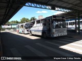 Viação Tindiquera 30 na cidade de Araucária, Paraná, Brasil, por Mayron Cesar  Colaço Teixeira. Número da foto: #:id.