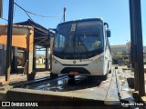 Sertran Transportes e Serviços LTDA 1364 na cidade de Pontal, São Paulo, Brasil, por Marcelo Horta. Número da foto: #:id.