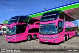Evolução Transportes e Turismo 4010 na cidade de Caxias do Sul, Rio Grande do Sul, Brasil, por Carlos Júnior. Número da foto: #:id.