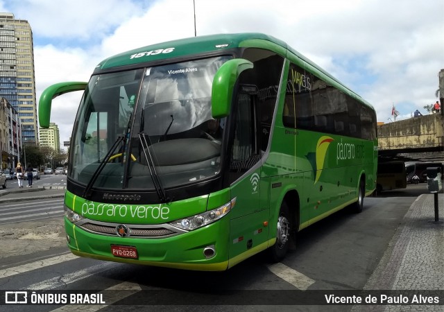 Pássaro Verde 15136 na cidade de Belo Horizonte, Minas Gerais, Brasil, por Vicente de Paulo Alves. ID da foto: 7784275.