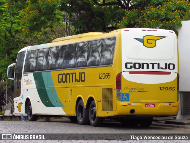 Empresa Gontijo de Transportes 12065 na cidade de Belo Horizonte, Minas Gerais, Brasil, por Tiago Wenceslau de Souza. ID da foto: 7784812.