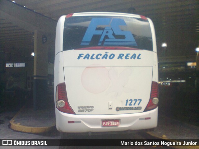 Falcão Real 1277 na cidade de Salvador, Bahia, Brasil, por Mario dos Santos Nogueira Junior. Número da foto: #7677276.