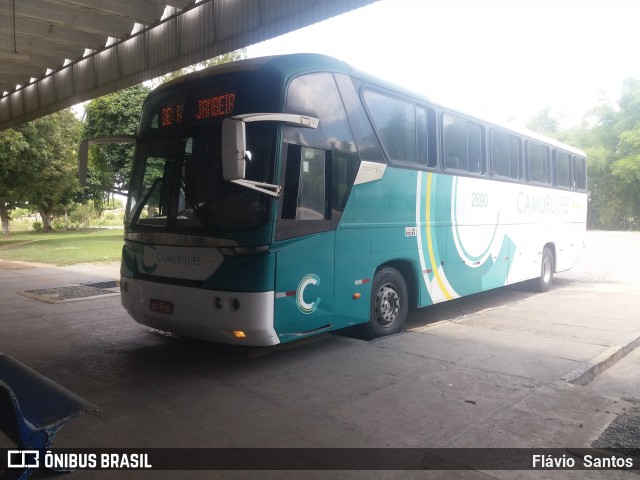 Auto Viação Camurujipe 2890 na cidade de Cruz das Almas, Bahia, Brasil, por Flávio  Santos. Número da foto: #7677692.