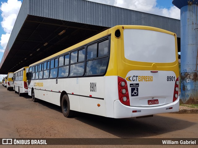 CT Expresso 8901 na cidade de Luziânia, Goiás, Brasil, por William Gabriel. Número da foto: #7685801.