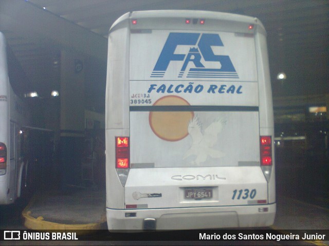 Falcão Real 1130 na cidade de Salvador, Bahia, Brasil, por Mario dos Santos Nogueira Junior. Número da foto: #7689630.