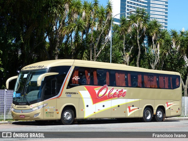 Olitur Turismo 1950 na cidade de Curitiba, Paraná, Brasil, por Francisco Ivano. Número da foto: #7686242.