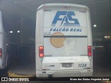 Falcão Real 1130 na cidade de Salvador, Bahia, Brasil, por Mario dos Santos Nogueira Junior. Número da foto: #7689630.