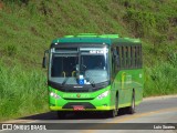 Pássaro Verde 15137 na cidade de Ponte Nova, Minas Gerais, Brasil, por Luis Soares. Número da foto: #:id.
