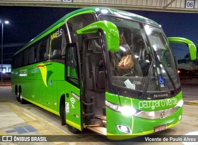 Pássaro Verde 19153 na cidade de Betim, Minas Gerais, Brasil, por Vicente de Paulo Alves. Número da foto: #7692839.