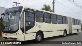 Transportes Coletivos Nossa Senhora da Piedade 802 na cidade de Campo Largo, Paraná, Brasil, por Gustavo Campos Gatti. Número da foto: #7691094.